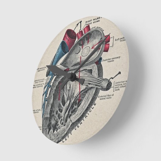 kunstanatomisch hartdiagram - wetenschap ronde klok (Hoek)