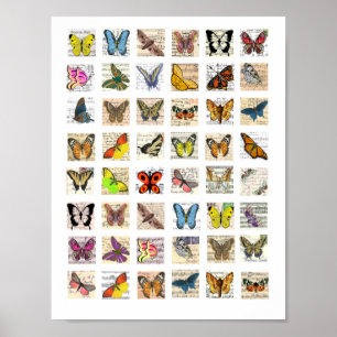 Kunstblad voor Vintage Briefkaart van vlinder Poster