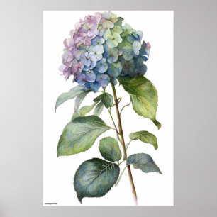 Kunstblauw door AI geproduceerd Hydrangea  wandkun Poster