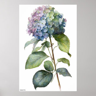 Kunstblauw door AI geproduceerd Hydrangea wandkun Poster