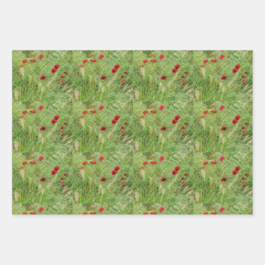 Kunstboomkorstbessen rode papaver  inpakpapier vel (Voorkant 2)