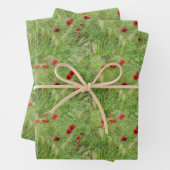 Kunstboomkorstbessen rode papaver  inpakpapier vel (In situ)