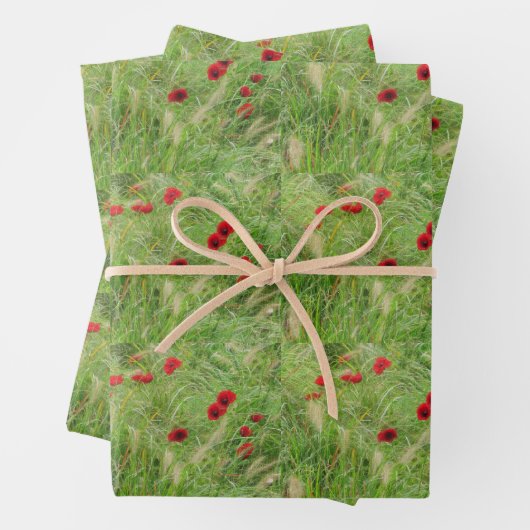 Kunstboomkorstbessen rode papaver  inpakpapier vel (In situ)