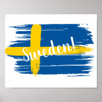 Kunstborstels Zweden Vlag
