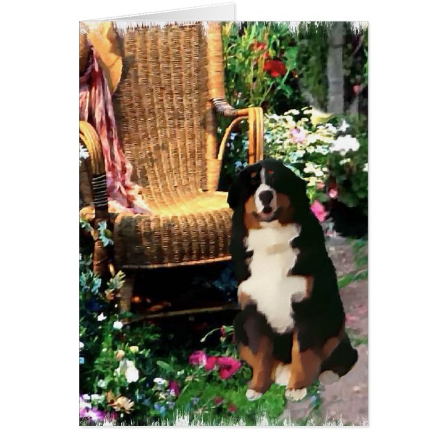 Kunstcadeaus voor Bernese Berghond (Voorkant)