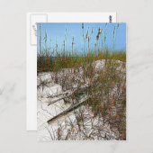 Kunstcadeaus voor Clearwater Beach Florida Briefkaart (Voorkant / Achterkant)