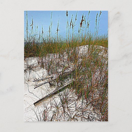 Kunstcadeaus voor Clearwater Beach Florida Briefkaart (Voorkant)