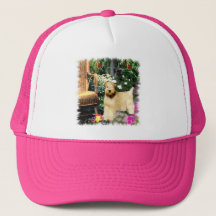 Kunstcadeautjes met zachte beklede wieltjes
