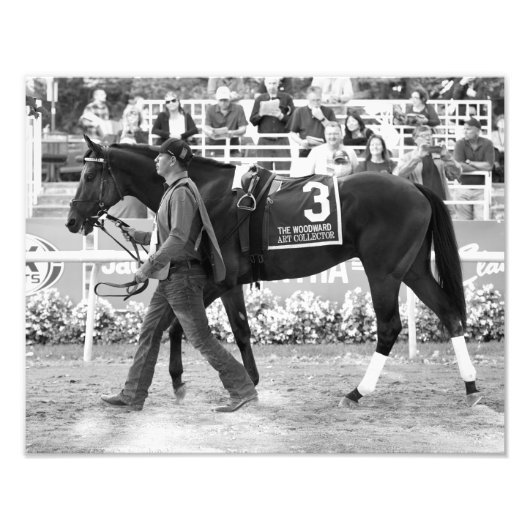 Kunstcollectorfoto's afdrukken foto afdruk (Voorkant)