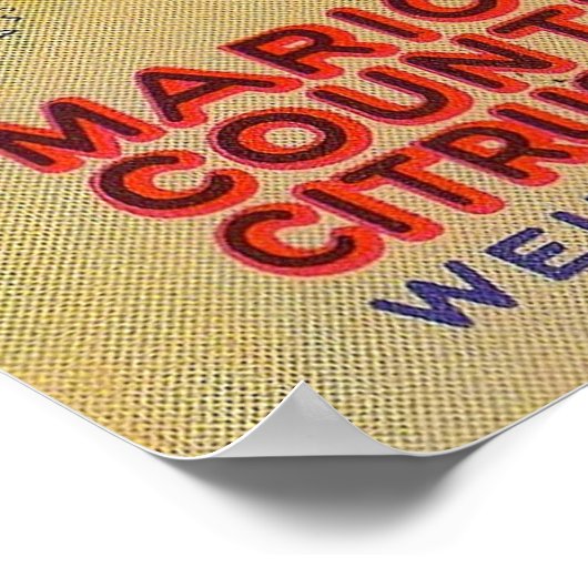 Kunstdeco El-West Delite Florida Citrus Fruit uit  Poster (Hoek)