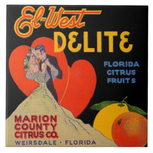 Kunstdeco El-West Delite Florida Citrus Fruit uit  Tegeltje