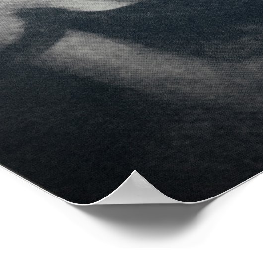 Kunstdedansers berber en droste poster (Hoek)