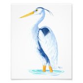 Kunstdruk - Great Blue Heron Foto Afdruk (Voorkant)