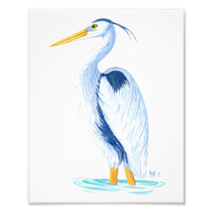 Kunstdruk - Great Blue Heron Foto Afdruk