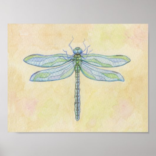 Kunstdruk voor libellen poster (Voorkant)