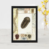 Kunstdruk Wenskaart - Trilobita Kaart (Gele Bloem)