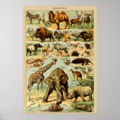  kunstdrukken afrikaanse wilde dieren poster (Voorkant)