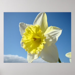 KUNSTDRUKKEN Gele Narcis Bloemen Canvas Kunstwerk Poster