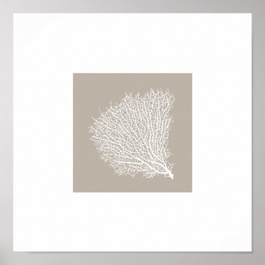 kunstdrukken van de witte koraaltak poster (Voorkant)