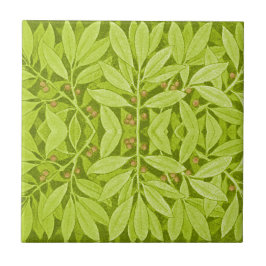  kunsten Nieuwe Botanische Bladeren en Bergen Tegeltje