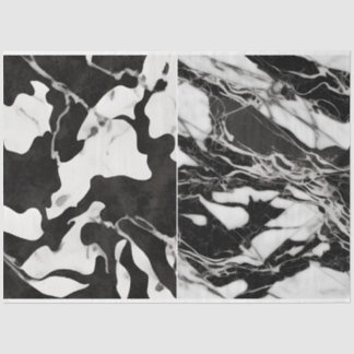 Kunstenaar Zwart Wit Abstract Marmeren Textuur 1b Tissuepapier
