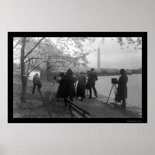 Kunstenaars en Cherry Trees in Washington, DC 1920 Poster (Voorkant)