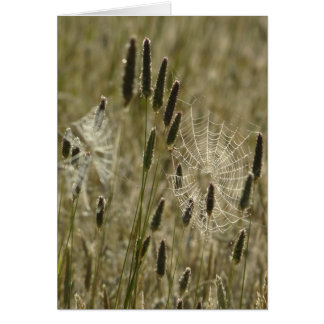 Kunstenaars van de natuur