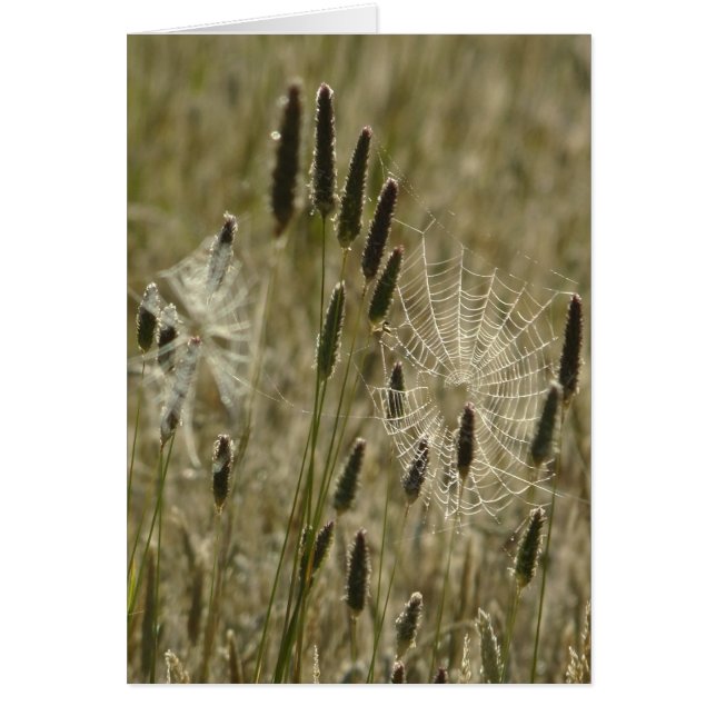 Kunstenaars van de natuur (Voorkant)