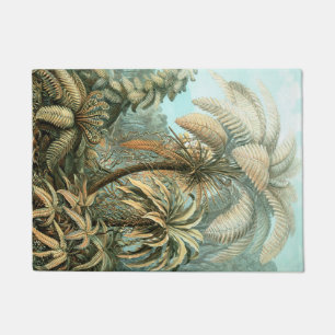 Kunstformen der Natur, Filicinae - Ernst Haeckel Deurmat