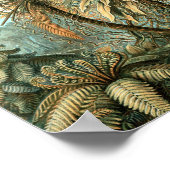 Kunstformen der Natur, Filicinae - Ernst Haeckel Poster (Hoek)