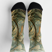 Kunstformen der Natur, Filicinae - Ernst Haeckel Sokken (Top)