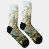 Kunstformen der Natur, Filicinae - Ernst Haeckel Sokken (Rechts)