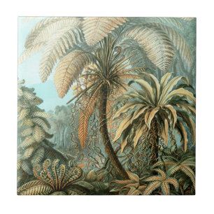 Kunstformen der Natur, Filicinae - Ernst Haeckel Tegeltje