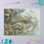 Kunstformen der Natur, Filicinae - Ernst Haeckel Tissuepapier (Craft)