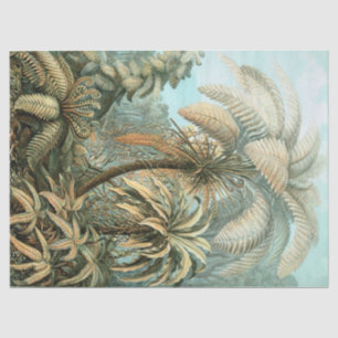 Kunstformen der Natur, Filicinae - Ernst Haeckel Tissuepapier