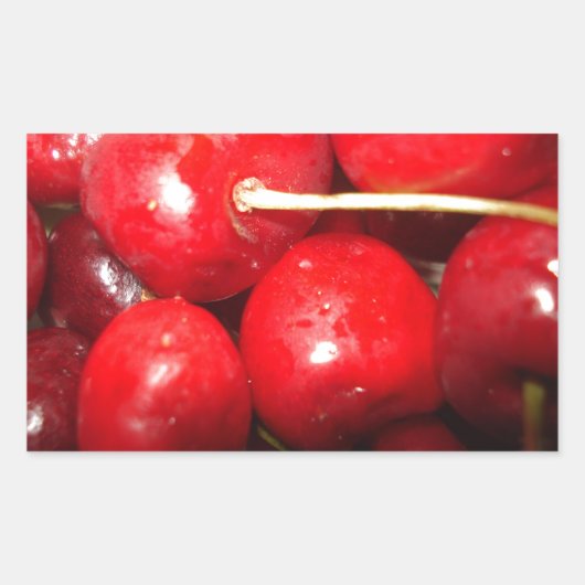 Kunstfoto Cherries Rechthoekige Sticker (Voorkant)