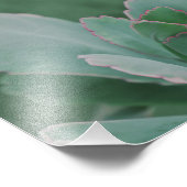 Kunstfoto van een prachtig woestijnPlant Foto Afdruk (Hoek)