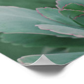 Kunstfoto van een prachtig woestijnPlant Poster (Hoek)