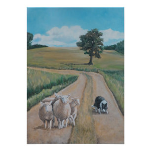 Kunstfoto's afdrukken van de "Schapen" Foto Afdruk