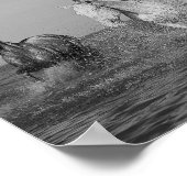 Kunstfoto's van paarden, poster (Hoek)