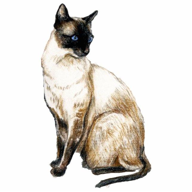 Kunstfoto's van Siamese kat Staand Fotobeeldje (Voorkant)