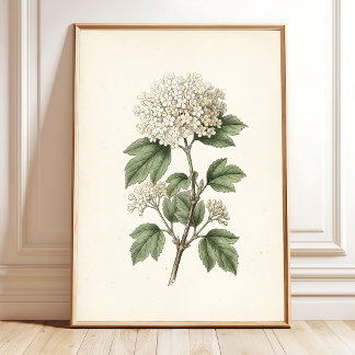 Kunstgalerij wanddecoratie met vintage botanische poster