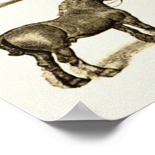  kunsthardvloeren Grafiek bedrukt poster (Hoek)