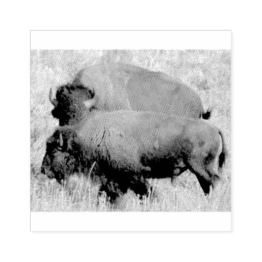 Kunsthout Stempel van buffels (Afrduk)