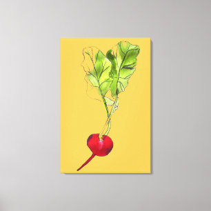 Kunstillustraties voor de waterverf van radijs canvas afdruk