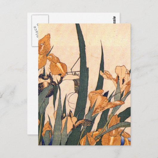 kunstJapans Iris-bloem Briefkaart (Voorkant / Achterkant)