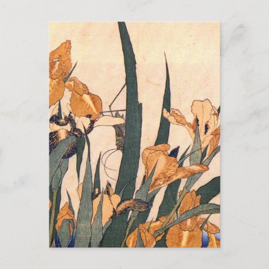 kunstJapans Iris-bloem Briefkaart (Voorkant)