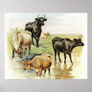  kunstkoeien poster