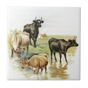 kunstkoeien tegeltje