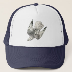  kunstkraker Gyrfalcon Falcon Diving Trucker Pet